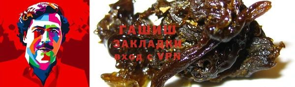 шишки Горняк