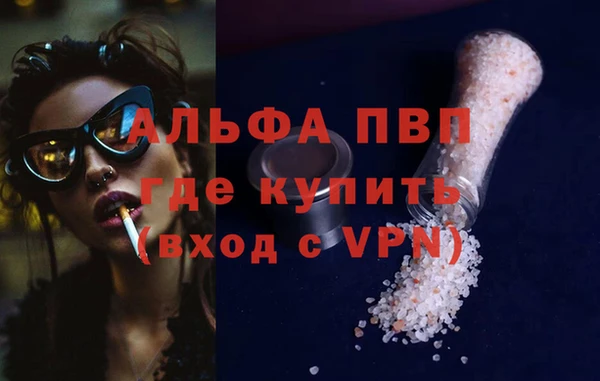 шишки Горняк
