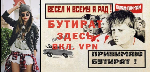 шишки Горняк
