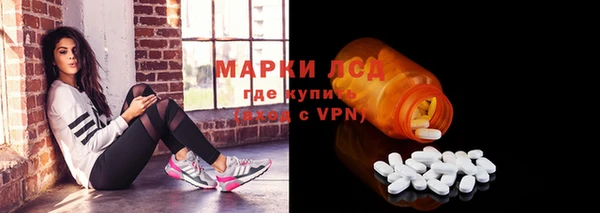 шишки Горняк