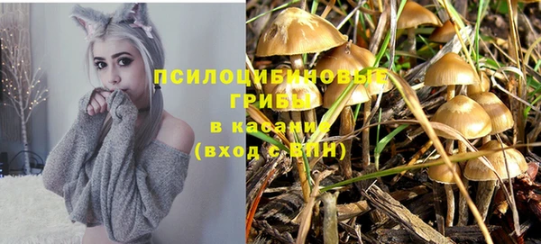 шишки Горняк