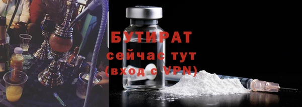 шишки Горняк