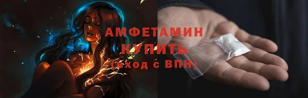 шишки Горняк