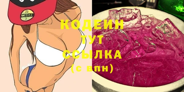 шишки Горняк
