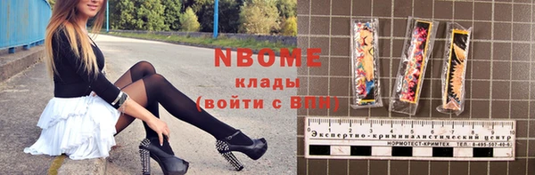 шишки Горняк