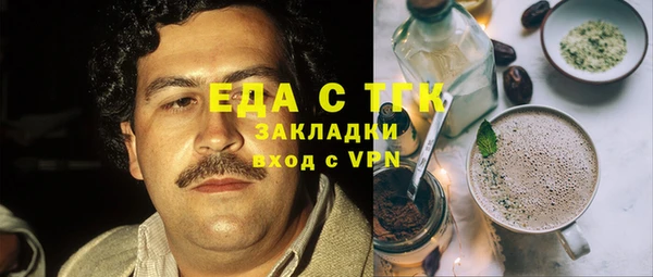 шишки Горняк