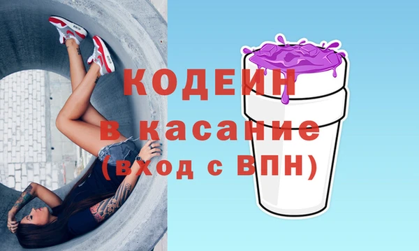 шишки Горняк